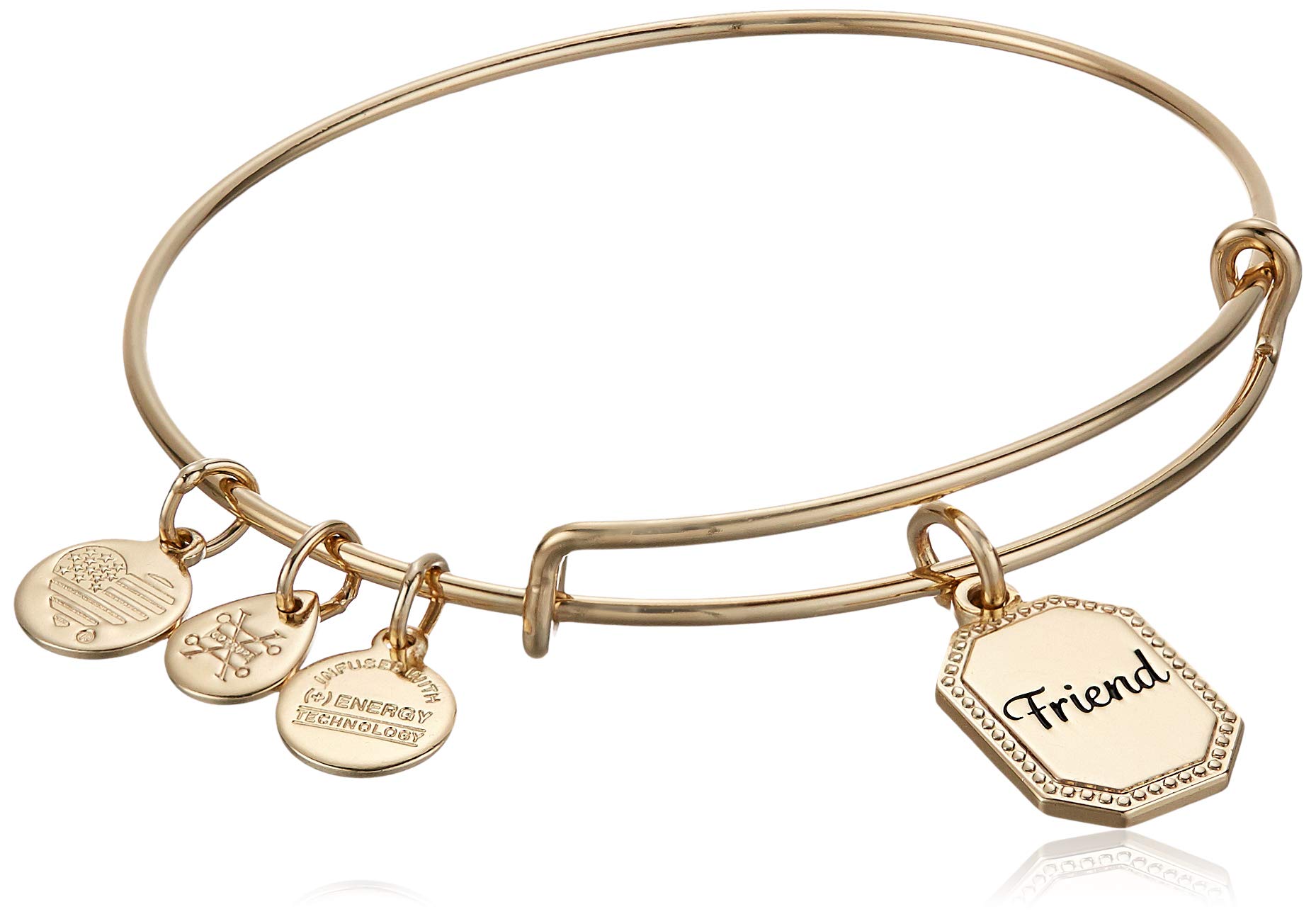 Expandable Bangle Alex And Ani Best Friend Bracelet Amazon Alex