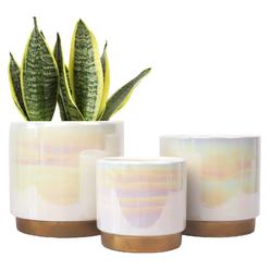 Plastic Pots 100-Pack 1 Gallon Nursery Pots - 6.7 Inch Plastic Plant Pots With Drainage Holes & Plant Labels 1 Gallon Plastic Plant Pots With Labels Plastic Pots 100-Pack 1 Gallon Nursery Pots - 6.7 Inch Plastic Plant Pots With Drainage Holes & Plant Labels 1 Gallon Plastic Plant Pots With Labels