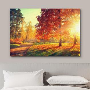 Designart Road In Beautiful Autumn Forest- Modern Forest Canvas Art PT13941-40-30 At - Foto 6