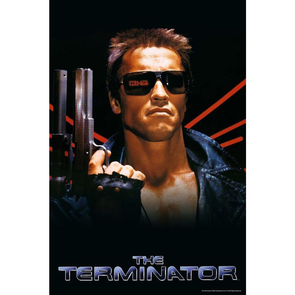 Poster Foundry The Terminator Official Movie Key Art Arnold ...
