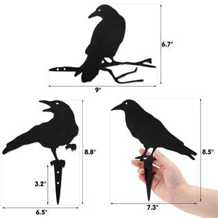 Aazon.co: Black etal Crow Wall Art Decor Unique Gothic Hoe Wall Aazon.co: Black etal Crow Wall Art Decor Unique Gothic Hoe Wall