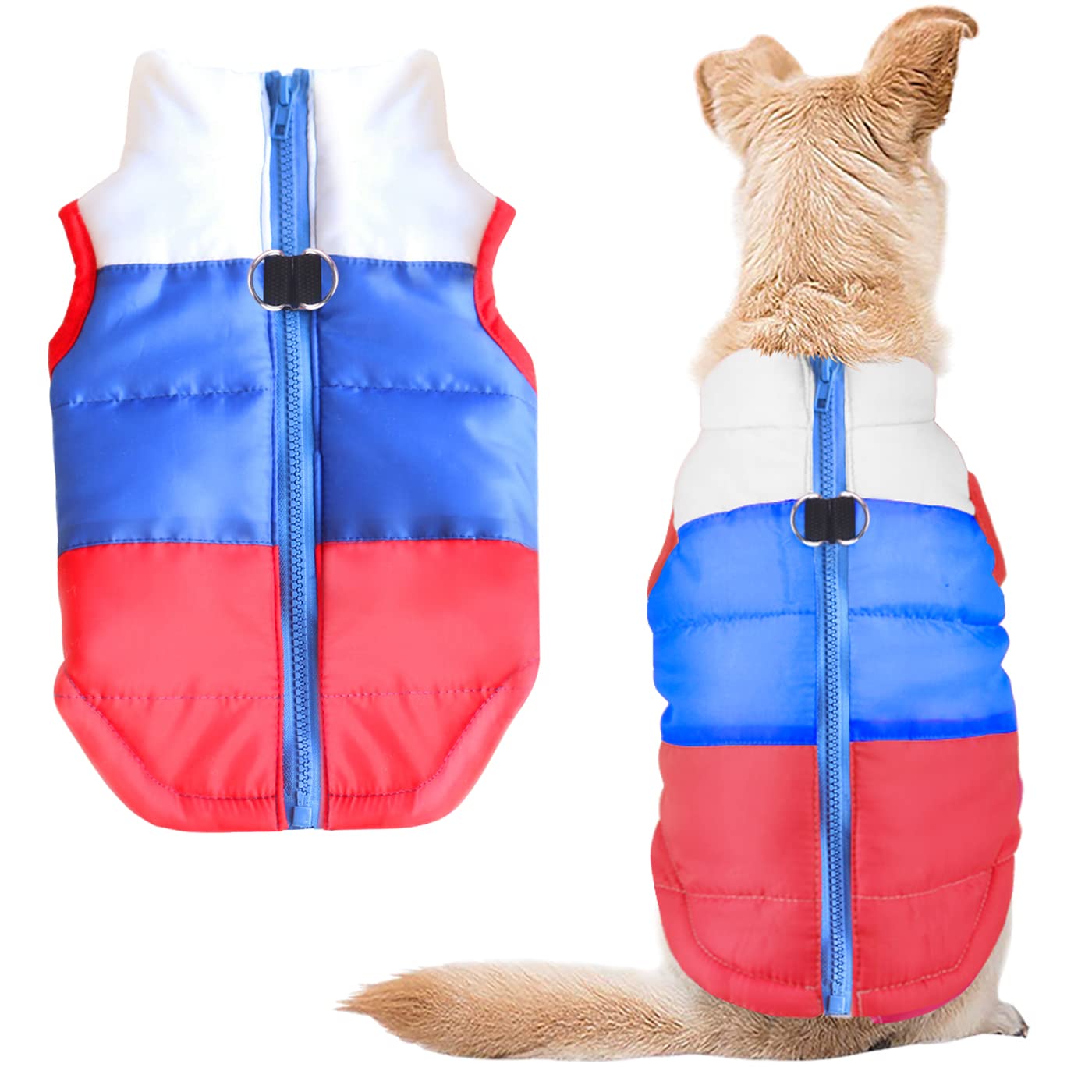 Idepet Pet Dog Cat Coat with Leash Anchor Color Patchwork Padded Puppy Vest  Jacket Teddy Chihuahua Costumes Pug Cloth XS S M L (