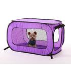 Dog Crates Petmate Sky Kennel Dog Travel Crate Jumbo, Light Gray