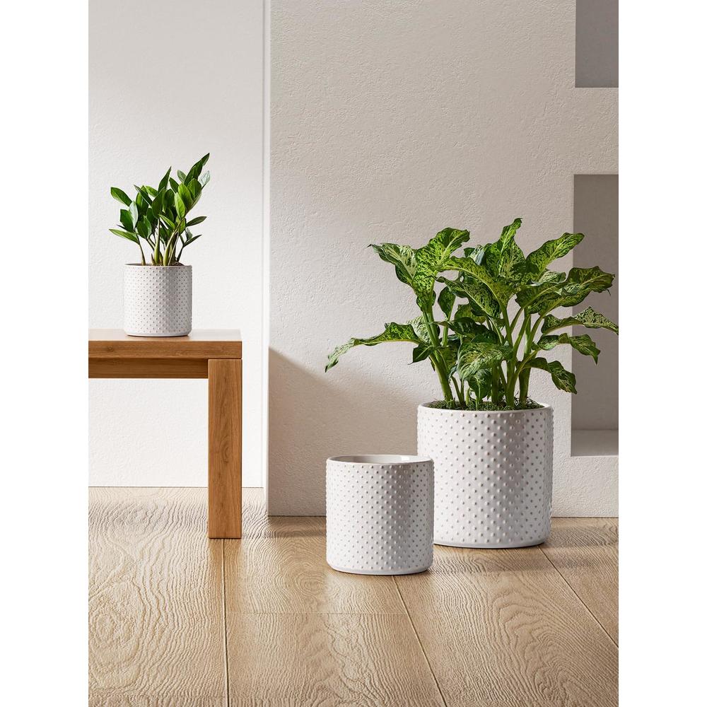 LE TAUCI Ceramic Plant Pots Indoor, 10+8+6 Inch Planters for Indoor ...