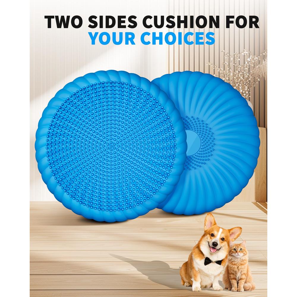 Balance Disc Inflation Spasemaxxx Wobble Cushion with Inflation Pump - Wobble Disk Balance ...
