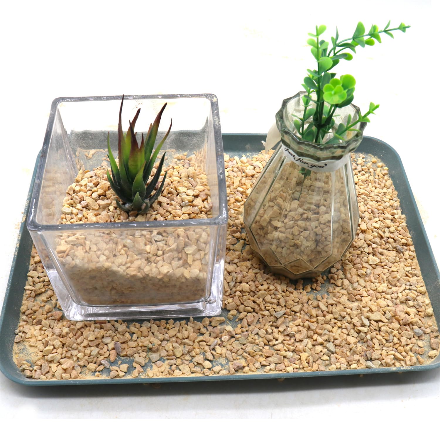 lotus flower seeds Buy Lotus Seed Pods for Isopods and Shrimp Botanicals  IHEARTBUGS, INC