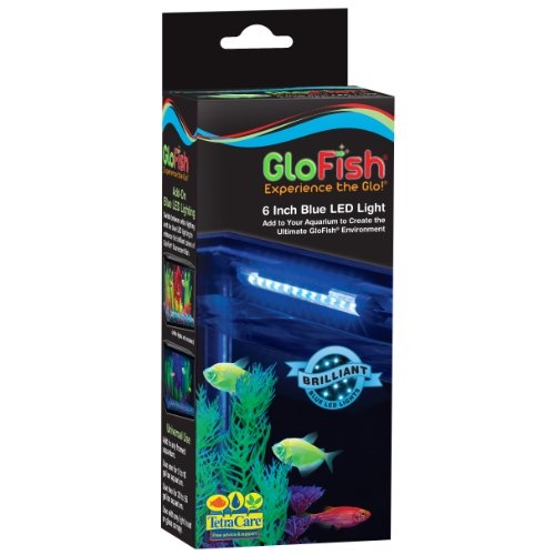 tetra care glofish 6