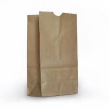 Pavilia Brown Paper Lunch Bag 40 Bags Xl Heavy 60 Larger Pavilia Brown Paper Lunch Bag 40 Bags Xl Heavy 60 Larger Than Standard