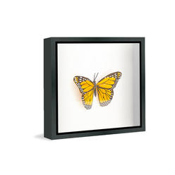 CustomPictureFrames.com 16x16 Shadow Box Frame Black | 1.25 inches Deep Real Wood Contemporary Shadowbox Display Frame | UV Resistant Acrylic Front,