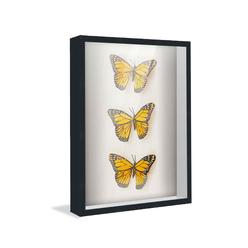 CustomPictureFrames.com 17x27 Shadow Box Frame Black | 1 inches Deep Real Wood Contemporary Shadowbox Display Frame | UV Resistant Acrylic Front, Acid
