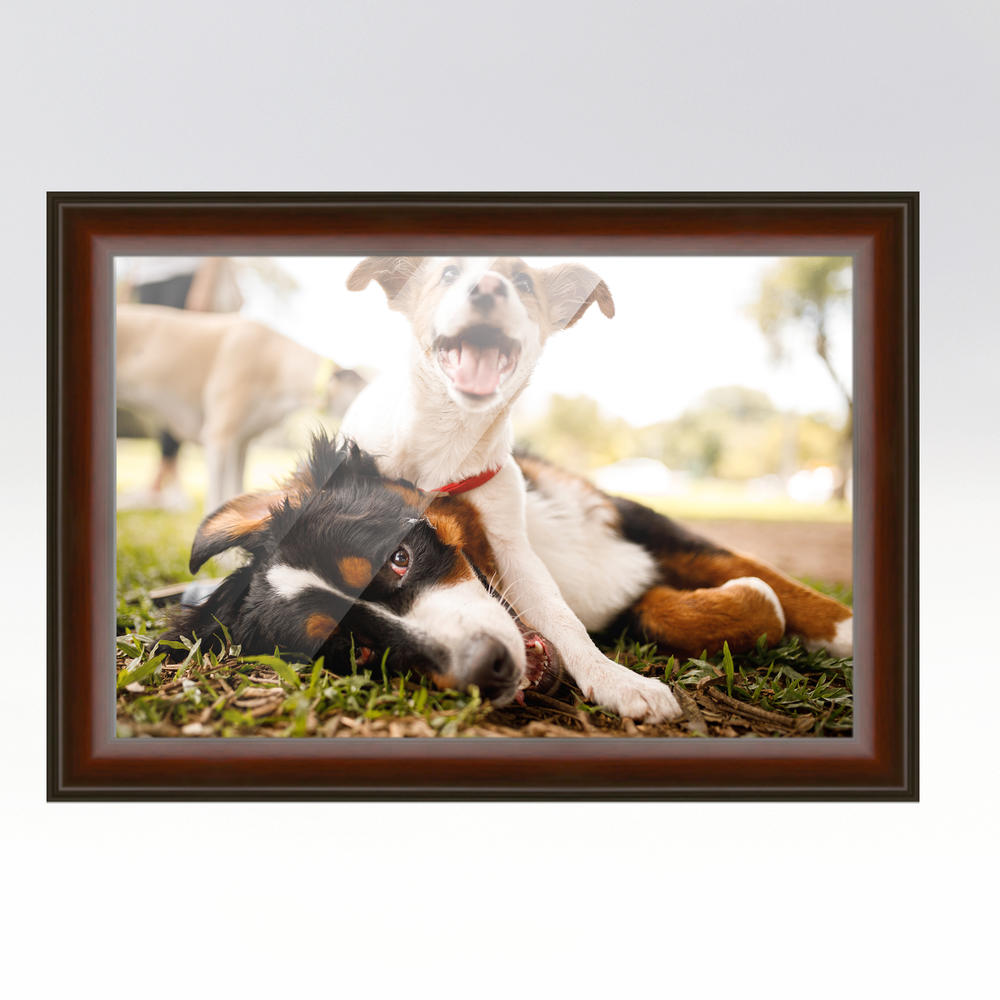 CustomPictureFrames.com 9x30 Rounded Brown Real Wood Picture Frame Width 1.5 inches | Interior Frame Depth 0.5 inches | Chaps Modern Photo Frame