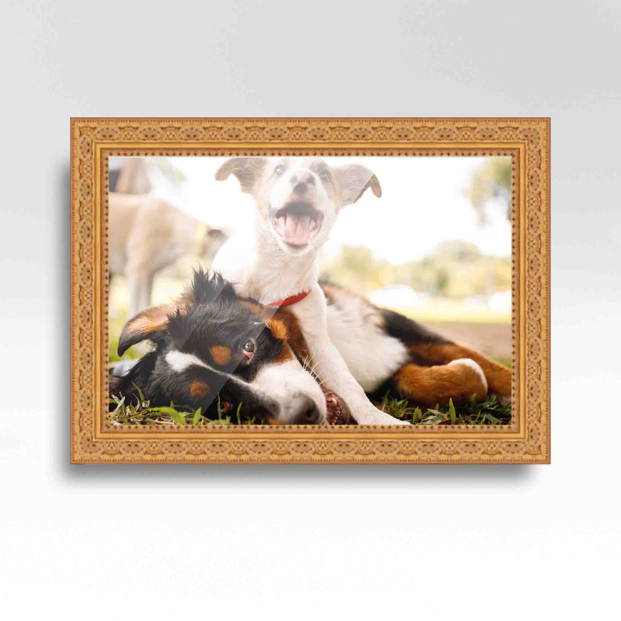 CustomPictureFrames.com 14x22 Gold Picture Frame - Wood Picture Frame Complete with UV Acrylic, Foam Board Backing & Hanging Hardware